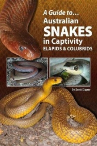 Guide to Australian Snakes in Captivity