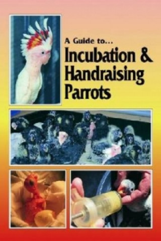 Incubation and Handraising Parrots