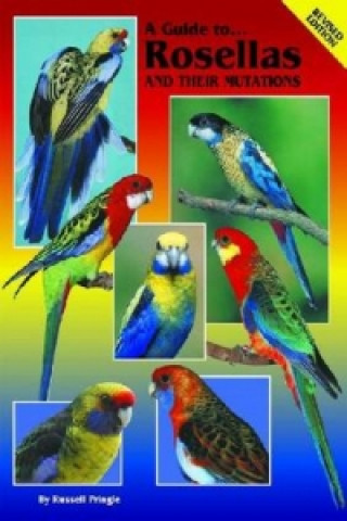 Guide to Rosellas and their Mutations