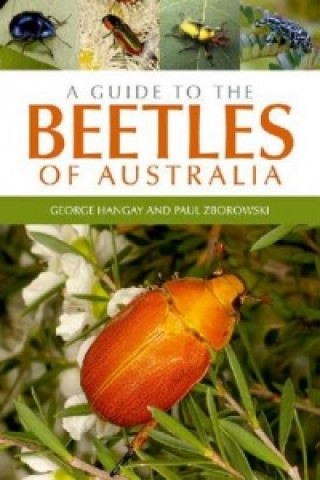 Guide to the Beetles of Australia