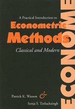 Practical Introduction to Econometric Methods