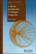 (Terse) Introduction to Lebesgue Integration