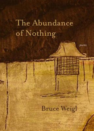 Abundance of Nothing