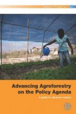 Advancing Agroforestry on the Policy Agenda