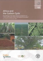 Africa and the Carbon Cycle