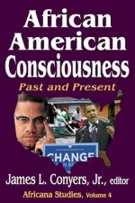 African American Consciousness