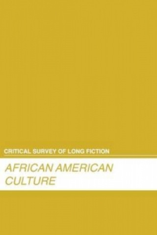 African American Novelists