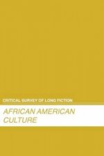 African American Novelists