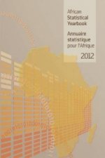 African statistical yearbook 2013