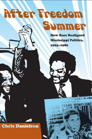 After Freedom Summer