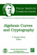 Algebraic Curves and Cryptography