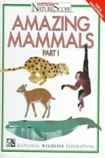 Amazing Mammals
