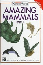 Amazing Mammals