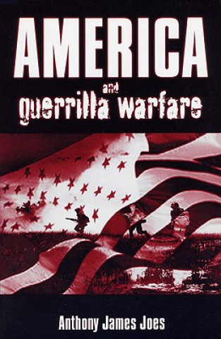 America and Guerrilla Warfare