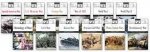 America at War Set 12 Vols