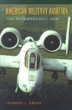 American Military Aviation in the 20th Century