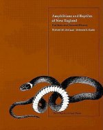 Amphibians and Reptiles of New England