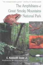 Amphibians Of Great Smoky Mountains
