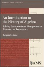 Introduction to the History of Algebra