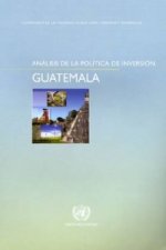 Analisis de La Politica de Inversion: Guatemala