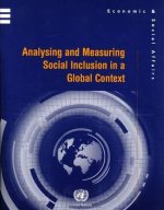 Analysing and Measuring Social Inclusion in a Global Context