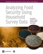 Analyzing food security using household survey data