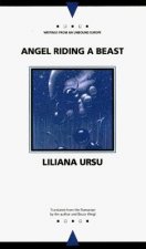 Angel Riding A Beast