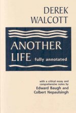 Another Life