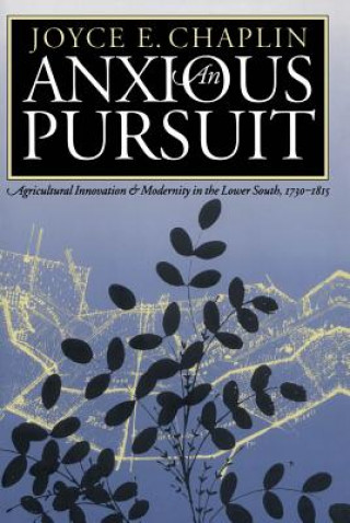 Anxious Pursuit