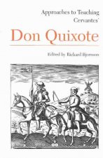 Approaches to Teaching Cervantes' Don Quixote