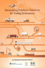 Assessing regional integration in Africa VI