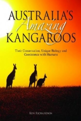 Australia's Amazing Kangaroos