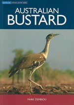 Australian Bustard