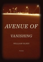 Avenue of Vanishing