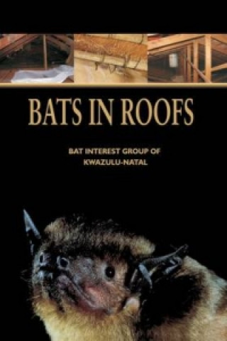 Bats in Roofs
