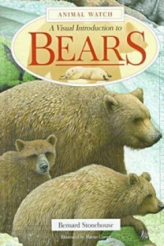 Bears