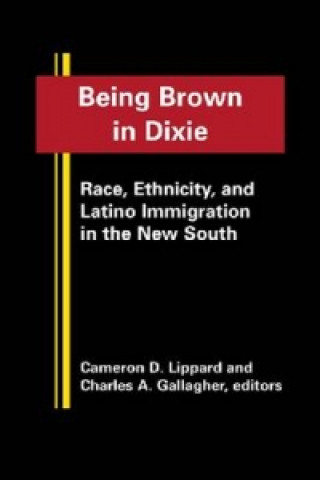 Being Brown in Dixie