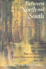 Between North and South