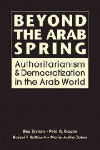 Beyond the Arab Spring