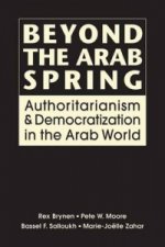 Beyond the Arab Spring