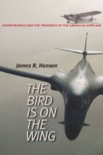 Bird is on the Wing