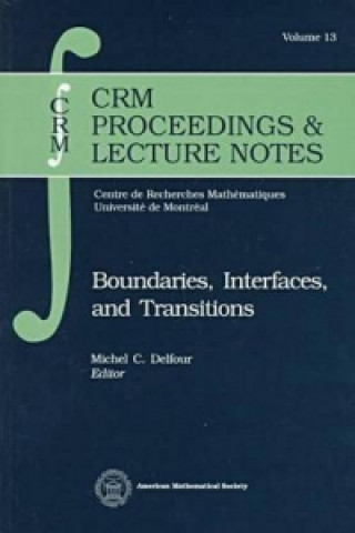 Boundaries, Interfaces and Transitions