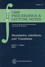 Boundaries, Interfaces and Transitions