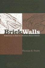 Brick Walls and Other Barriers