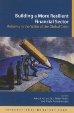 Building a more resilient financial sector