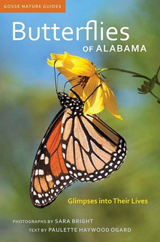 Butterflies of Alabama