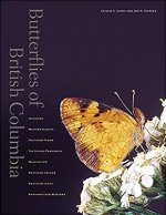 Butterflies of British Columbia