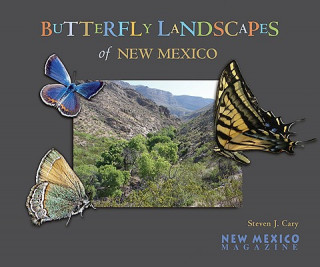 Butterfly Landscapes of New Mexico