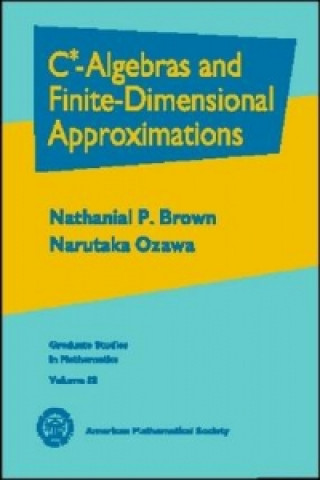 C*-Algebras and Finite-dimensional Approximations