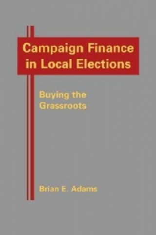 Campaign Finance in Local Elections